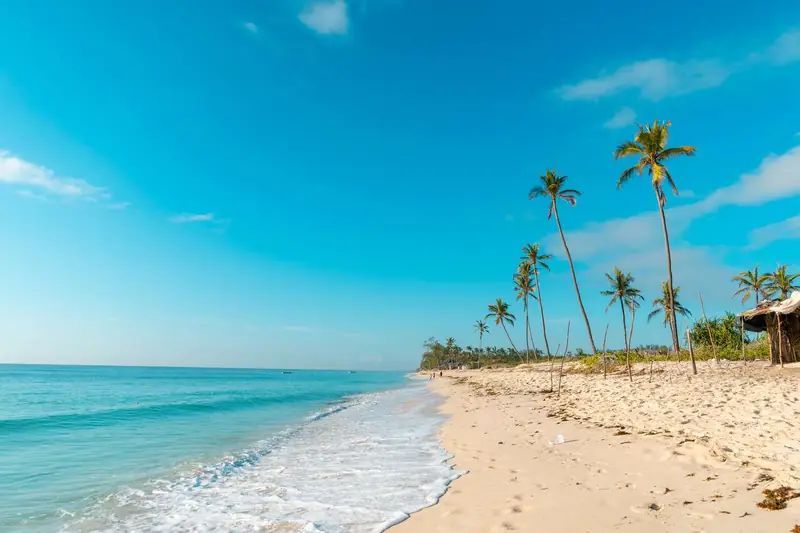 Palm trees and white sand on Diani Beach along the Indian Ocean