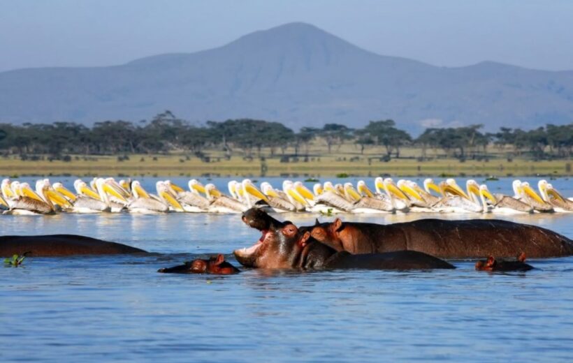 8-Day Nairobi – Sagana- Aberdares – Naivasha - Diani Tour