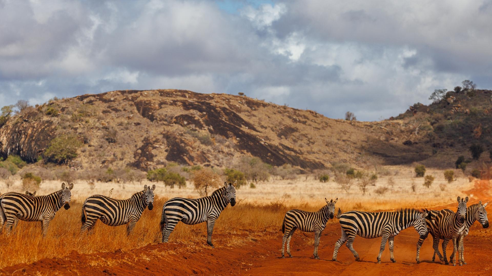 Lumo Conservancy